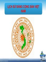 Tiểu Luận - Lịch Sử Đảng Cộng Sản Việt Nam - Đề Tài - Phân Tích Những Nguyên Nhân Phải Tiến Hành Đổi Mới Đất Nước 