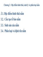 Bài giảng vi sinh vật học chương 3   đặc điểm hình thái, sinh lý và phân loại nấm