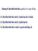 Bài giảng vi sinh vật học chương 4   đặc điểm hình thái và phân loại siêu vi khuẩn