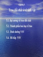 Bài giảng vi sinh vật học chương 5   trao đổi chất ở vi sinh vật