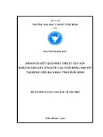ĐÁNH GIÁ KẾT QUẢ PHẪU THUẬT GÃY KÍN  THÂN XƯƠNG ĐÙI Ở NGƯỜI CAO TUỔI BẰNG NẸP VÍT  TẠI BỆNH VIỆN ĐA KHOA TỈNH THÁI BÌNH