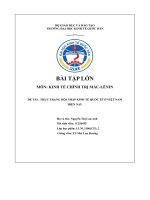 (Tiểu luận) đề tài  thực trạng hội nhập kinh tế quốc tế ở việt namhiện nay