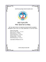 (Tiểu luận) đề tài phân tích các nội dung tranh chấp lao độngphổ biến ở việt nam  lấy ví dụ minh họa và nguyên nhân