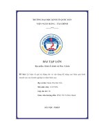 (Tiểu luận) đề  bài lý luận về giá  trị thặng  dư  và vận  dụng để nâng  cao  hiệu  quả  kinh doanh của các doanh nghiệp tư nhân hiện nay