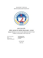 (Tiểu luận) đề bài trình bày lý luận của chủ nghĩa mác lênin về thấtnghiệp và liên hệ thực tiễn ở việt nam