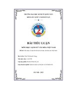 (Tiểu luận) tiểu luậnmôn học lịch sử văn hóa việt nam đề tài tiểu luận về một di tích lịch sử hoặc văn hóa của việt nam