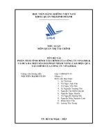 Tiểu luận PHÂN TÍCH TÌNH HÌNH TÀI CHÍNH CỦA CÔNG TY VINAMILK  VÀ ĐƯA RA MỘT SỐ GIẢI PHÁP NHẰM NÂNG CAO HIỆU QUẢ  TÀI CHÍNH CỦA CÔNG TY VINAMILK