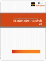 Văn Hoá Học & Định Vị Văn Hoá Việt Nam ( Tiểu Luận - Cơ Sở Văn Hóa Việt Nam- Đề Tài  ) 