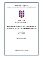 Kế toán nợ phải thu tại công ty trách nhiệm hữu hạn savino del bene việt nam