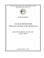 Ứng dụng mô hình Mike tính toán cân bằng nước hồ sông Ray