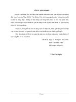 Ứng dụng mô hình Mike 11 mô phỏng xâm nhập mặn cho hạ lưu lưu vực sông Sài Gòn – Đồng Nai