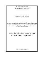 Tình hình nhiễm sán lá đường tiêu hóa và bệnh do sán lá tuyến tụy Eurytrema spp. gây ra ở trâu, bò tại tỉnh Tuyên Quang