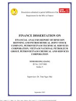 Financial analysis report of binh son refining and petrochemical joint stock company, petrovietnam technical services corporation vietnam national petroleum group, petrovietnam chemical and services corporation