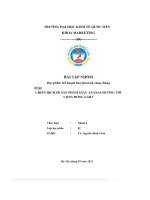 (Tiểu luận) đề tài chiến dịch pr sản phẩm giày ananas hướng tới cộng đồng lgbt