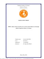 Salience theory and the cross section of stock returns in emerging  market empirical evidence in vietnam