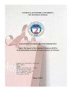 (Tiểu luận) topic the impact of key opinion consumers (kocs)on the purchasing intention of young consumers in vietnam