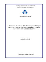 Nuôi cấy tế bào xạ đen (ehretia asperula zollinger et moritzi) in vitro để thu nhận sinh khối có khả năng tổng hợp acid rosmaring