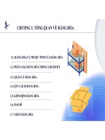 Chương 1  tổng quan về hàng hóa