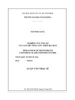 Nghiên cứu ứng xử của sàn bê tông cốt thép bị cháy