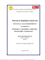 Financial analysis report of 4 company heineken, carlsberg, anheuser   busch inbev and diageo