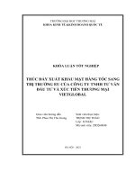 Thúc đẩy xuất khẩu mặt hàng tóc sang thị trường eu của công ty tnhh tư vấn đầu tư và xúc tiến thương mại vietglobal