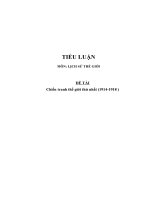 Tiểu luận môn lịch sử thế giới   chiến tranh thế giới thứ nhất (1914 1918