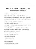 Đề cương ôn tập ngữ văn lớp 12 học kì 1