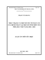 Thực trạng và một số yếu tố nguy cơ của bệnh than tại một số tỉnh miền núi phía Bắc Việt Nam, 2010 - 2022