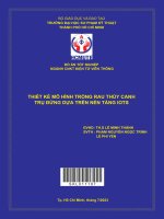 Thiết kế mô hình trồng rau thủy canh trụ đứng dựa trên nền tảng iots