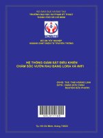 Hệ thống giám sát điều khiển chăm sóc vườn rau bằng lora và wifi
