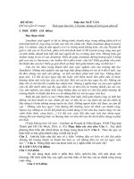 Bộ đề thi tn 2023