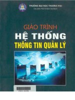 Giáo trình hệ thống thông tin quản lý phần 1   pgs ts  đàm gia mạnh