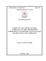 Nghiên cứu thay đổi huyết động và hiệu quả điều trị theo đích ở bệnh nhân cao tuổi được gây tê tuỷ sống cho phẫu thuật thay khớp háng