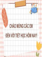 Giáo án toán lớp 8    don thuc gg2