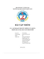 (Tiểu luận) đề tài  kế hoạch truyền thông của biti’strong dự án ra mắt sản phẩm mới