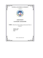 (Tiểu luận) topic benefits and risks of hiring undocumented labor in companies