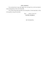 Chuyên đề thực tập  phát triển thị trường dịch vụ thanh toán quốc tế của ngân hàng thương mại cổ phần đầu tư và phát triển việt nam   chi nhánh thái bình