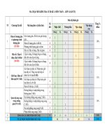 Sp nhom 2 ma tran va ban dac ta kiem tra cki lop 11