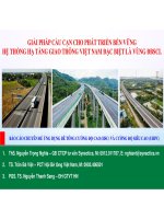 Giải pháp cầu cạn cho hệ thống hạ tầng giao thông vùng ĐBSCL
