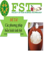 Tiểu Luận - Hóa Học Thực Phẩm - Đề Tài - Các Phương Pháp Biến Hình Tinh Bột 