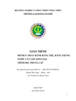 Giáo trình phay bánh răng trụ, răng thẳng (nghề cắt gọt kim loại   trung cấp)