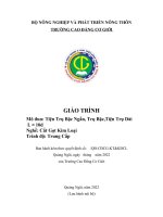 Giáo trình tiện trụ bậc ngắn, trụ bậc, tiện trụ dài l ≈ 10d (nghề cắt gọt kim loại   trung cấp)