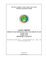 Giáo trình hàn hồ quang dây lõi thuốc fcaw nâng cao (nghề hàn   cao đẳng)