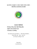 Giáo trình phay bào mặt phẳng bậc (nghề cắt gọt kim loại   cao đẳng)