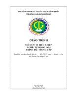 Giáo trình Vi điều khiển (Nghề Tự động hoá  Trung cấp)