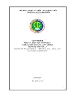 Giáo trình Thực tập tốt nghiệp (Nghề Kỹ thuật máy lạnh và điều hoà không khí  Trung cấp)