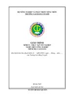 Giáo trình Thực tập tốt nghiệp (Nghề Điện công nghiệp  Cao đẳng)