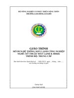 Giáo trình Hệ thống máy lạnh công nghiệp (Nghề Kỹ thuật máy lạnh và Điều hòa không khí  Trung cấp)
