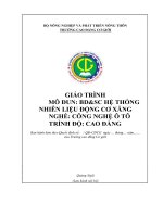 Giáo trình bảo dưỡng và sửa chữa hệ thống nhiên liệu động cơ xăng (nghề công nghệ ô tô   cao đẳng)