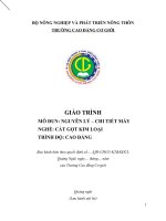 Giáo trình nguyên lý chi tiết máy (nghề cắt gọt kim loại   cao đẳng)